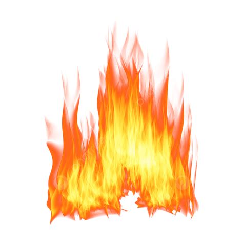 FEU.