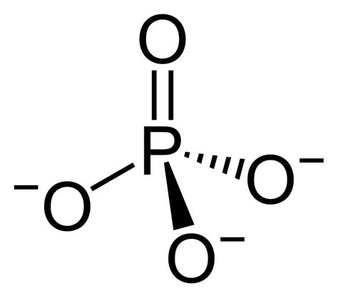 Phosphate.