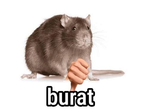 burat.twitter