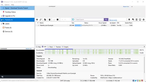 gtorrnet