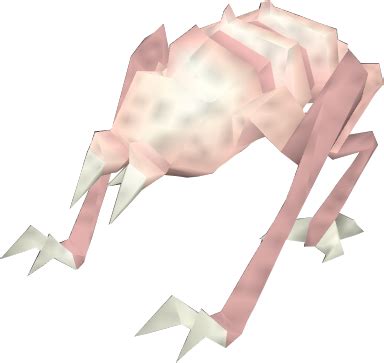 hituroth
