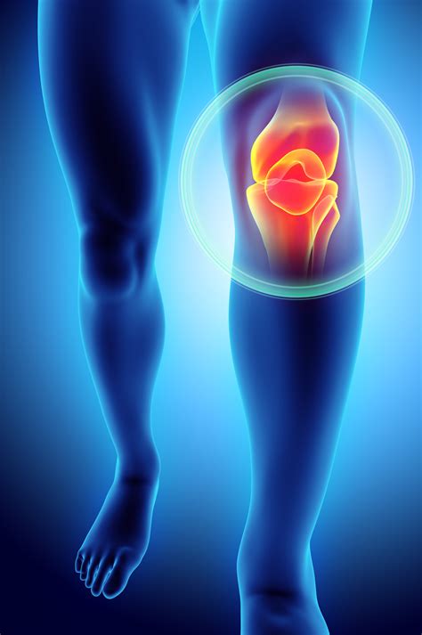 knee.