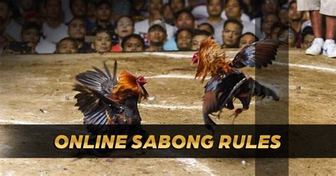 sabongx